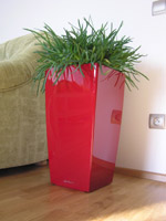 Lechuza Cubico 30